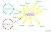 Positronium. ,   , .  , , 